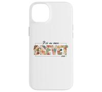 Brevet des collèges 2026 BEP Patchwork Quilt Humour Coque pour iPhone 14 Plus
