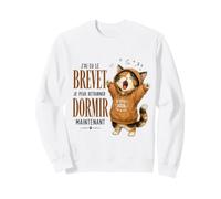 Brevet des Collèges 2026 Chat Fatigué mais Diplômé Réussite Sweatshirt