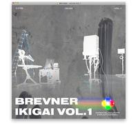 IKIGAI Vol. 1
