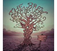 in-akustik – Brew - Shake the Tree