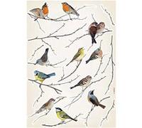 Brewster Komar Lv19005 Décollez et Appliquez Oiseaux européens Stickers muraux G