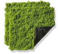 BRGD 2 Pièces 100x100cm Tapis de Mousse Artificielle Verte, Plaque Murale en Mousse Artificielle pour Loisirs Créatifs, Pots de Fleurs, Terrasses, Pelouses, Aquariums