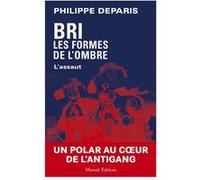 BRI les formes de l'ombre - L'assaut Philippe Deparis (Auteur)