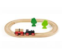 Bri Train Petit Circuit De Train En Foret