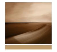 BRIAN ENO - SMALL CRAFT ON A MILK SEA (2LP+MP3) 2 VINYL LP + MP3 NEUF