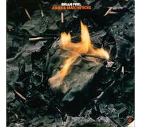 Brian Joseph Friel - Ashes & Matchsticks