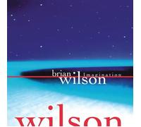 Brian Wilson Imagination (Vinyl)