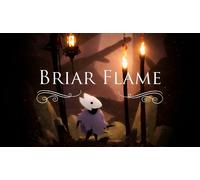Briar Flame (Steam Account)