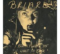 Briard - I really hate ya