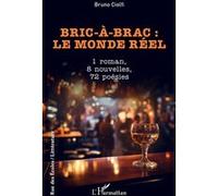 Bric-à-brac : le monde réel 1 roman, 8 nouvelles, 72 poésies - Bruno Ciolfi - L'harmattan - broché - Poésie