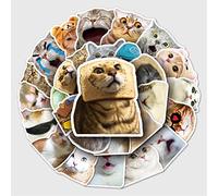 Bric Dodo Lot de 50 autocollants Meme Cat pour voiture, ordinateur portable, téléphone, guitare, skateboard, moto, vélo, Meme chat, en vinyle, imperméable, esthétique, pour adolescents, enfants,