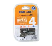 Bricard 115992 Cylindre Trial S 35+35 Nickelé double entrée débrayable- 5 clés-Niveau de sécurité 4