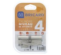 Bricard 15981 Cylindre Trial S 40 + 40 Nickelé double entrée/niveau de sécurité 4