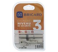 Bricard 17154 Cylindre, Acier Nickelé