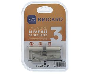 Bricard 17158 Cylindre débrayable Astral 2, 9 en Laiton Nickelé 10 Pistons, 2 entrées 40+40, Protection contre le perçage et Le Crochetage. Carte personnelle., Acier Nickelé, 80 = 40+40