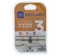 Bricard 17162 Cylindre débrayable Astral 2, 9 en Laiton Nickelé 10 Pistons, 2 entrées 50+50, Protection contre le perçage et Le Crochetage. Carte personnelle., Acier Nickelé, 100 = 50+50
