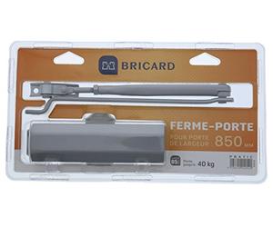 Bricard 2052 Ferme porte hydraulique force 2 Argent