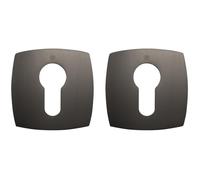 BRICARD 80090T1 Paire de rosaces Titane zamack eVidence, porte d'entrée