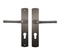 Bricard 8790T1 Paire de poignées Titane zamack sur plaque eVidence, porte d'entrée