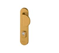 Ensemble poignée de porte aileron blindée sur plaque standard eSSENTIAL Bricard entraxe 195mm brossé or