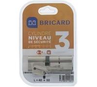 BRICARD ASTRAL 15691 Cylindre 40+50 mm double entrée laiton nickelé