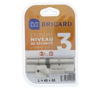 BRICARD ASTRAL 15791 Cylindre 45+55 double entrée laiton nickelé niveau de sécurité 3