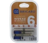 BRICARD CHIFRAL S2 17471 Cylindre 40+40 mm double entrée nickelé niveau de sécurité 6 Nickelé G