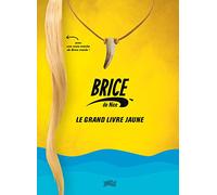 Brice de Nice, le grand livre jaune