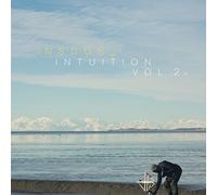 Brice Torres - Intuition Volume 2 (Vinyl)