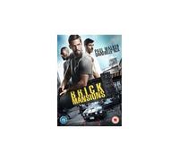 Brick Mansions