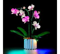 BrickBling Kit d'éclairage LED pour Lego 10311 Icônes Orchidée (aucun modèle Lego inclus, kit d'éclairage DIY pour orchid Lego fleur adulte collection botanique décoration de la maison