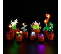 BrickBling Kit d'éclairage LED pour Lego 10329 Icônes Mini Plantes (pas de Lego), kit d'éclairage décoratif pour Lego Tiny Plants 10329 Jouet créatif, DE-10329-P57901