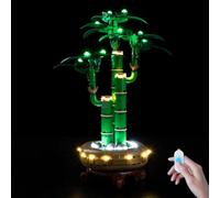 BrickSoul Kit lumineux compatible avec Lego Lucky Bamboo 10344, accessoires d'éclairage filaires à intensité variable pour ensemble de plantes Lego, construction non incluse 10344