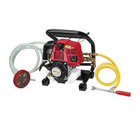 Bricoferr BF854T-pulvérisateur avec moteur à essence 4T (0,75 kW)