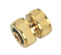 Bricoferr Réparateur de tuyau en laiton 19 mm