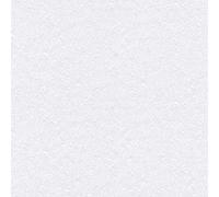 BRICOFLOR Papier Peint Shades of White 942319