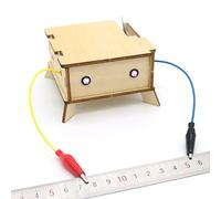 Bricolage Assembler Conducteur Isolateur Détecteur Modèle Kits De Construction Science Enfants Montessori Expérience Éducative Ensembles Jouets Cadeaux