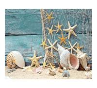 Bricolage Diamond Painting Coquillages d'étoiles de mer,5D Diamant Painting Kit Complet,Broderie Peinture Diamant Arts pour Adultes Enfants Strass Point de Croix Painting Décoration la Maison,40x60cm