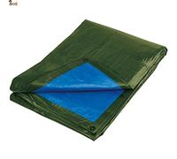 BricoLoco.com Bâche imperméable multifonction pour extérieur, 6 x 10 m, 140 g. Renforcé !! Bâche de protection pour bois, remorque, piscine, meuble de jardin. (140 g. Vert/bleu, 6 x 10 m)