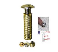 BricoLoco Lot de 100 chevilles de piscine en laiton avec vis en acier inoxydable A2