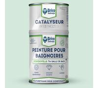 BRICOSALVAJE Peinture baignoire 2K Satiné Vert clair Crawford 750 ml | Receveur de douche | Polyuréthane 2 composants | 600+150 ml | Haute résistance | Satiné