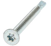 Bricovis Autoperceuse TF Torx A Ailettes 6.3X100 Zingué