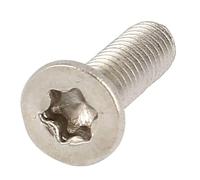 Bricovis TF Torx M2.5X10 Inox A4 ISO 14581