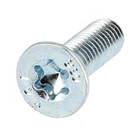 Bricovis TF Torx M3X4 Acier 8.8 Zingué ISO 14581