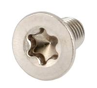 Bricovis TF Torx M4X20 Inox A4 DIN 965