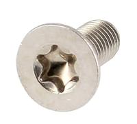Bricovis TF Torx M8X40 Inox A2 DIN 965