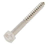 Bricovis Tirefond 10X40 Inox A4 DIN 571