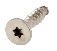 Bricovis VBA TF Torx 4.5X20 Inox A2