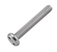 Bricovis Vis Inviolable TC 2 Trous Snake Eyes M5X20 Inox A2