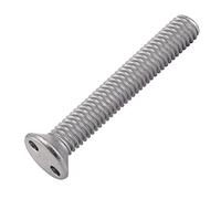 Bricovis Vis Inviolable TF 2 Trous "Snake Eyes" M4X16 Inox A2